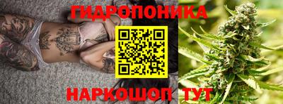 шишки Новозыбков