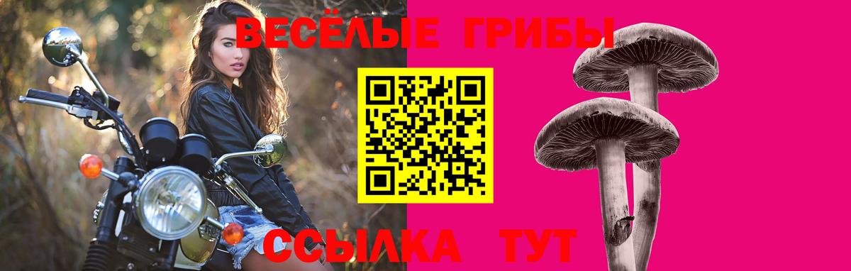 Галлюциногенные грибы GOLDEN TEACHER  Вход с VPN  Солнечногорск 