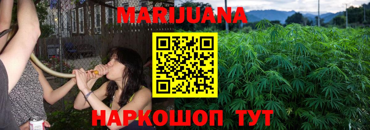 Шишки марихуана конопля  Каннабис гибрид  Вход с VPN  Конопля White Widow  Солнечногорск 